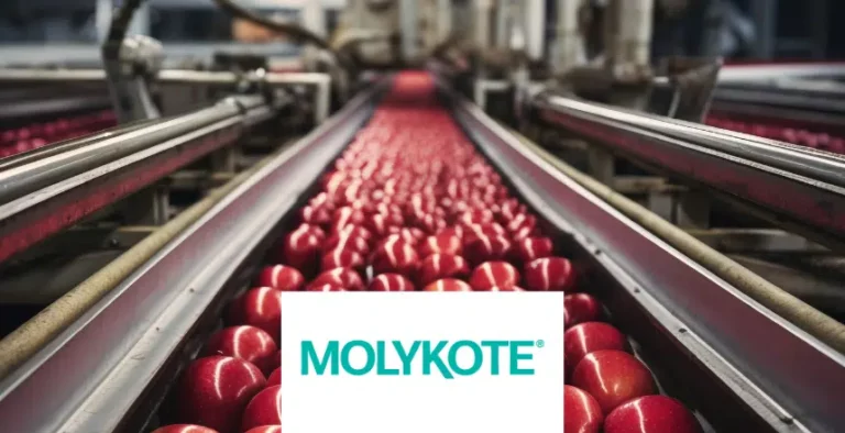 Blog post: Effizienzsteigerung in der Lebensmittelverarbeitung mit MOLYKOTE® P-1900 FM Paste Spray